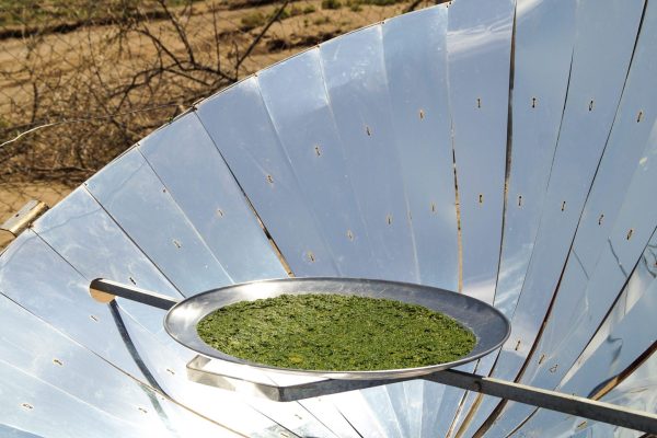 Spirulinatrocknung Solarkocher