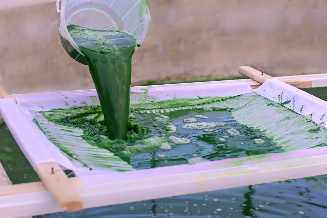 Mombasa Spirulina